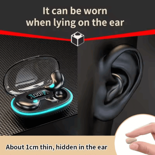 Echo Labs Earbuds (official Retailer) 2025